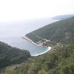Baric * Medvinjak