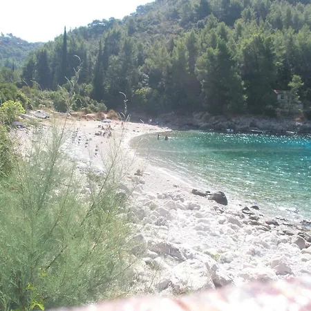 Baric Medvinjak
