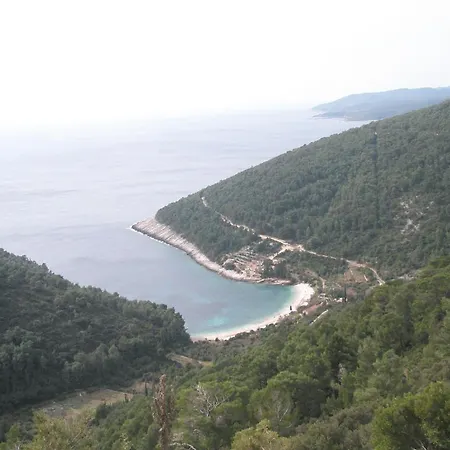 Baric * Medvinjak