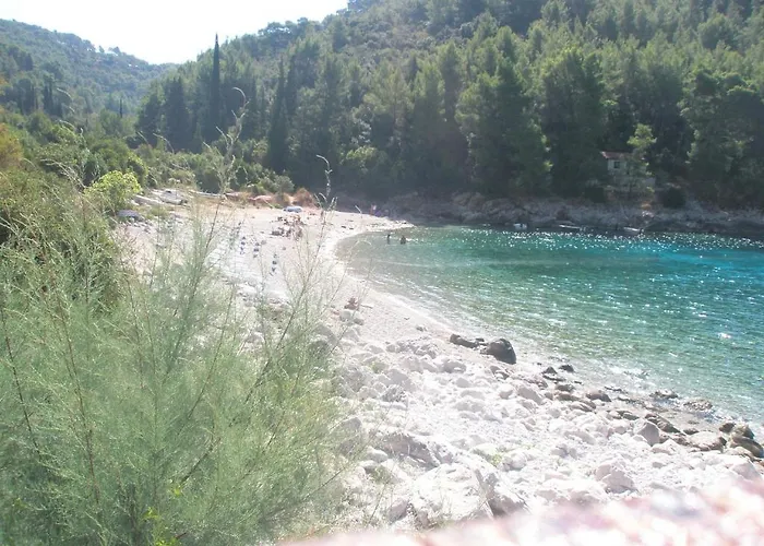 Baric Medvinjak